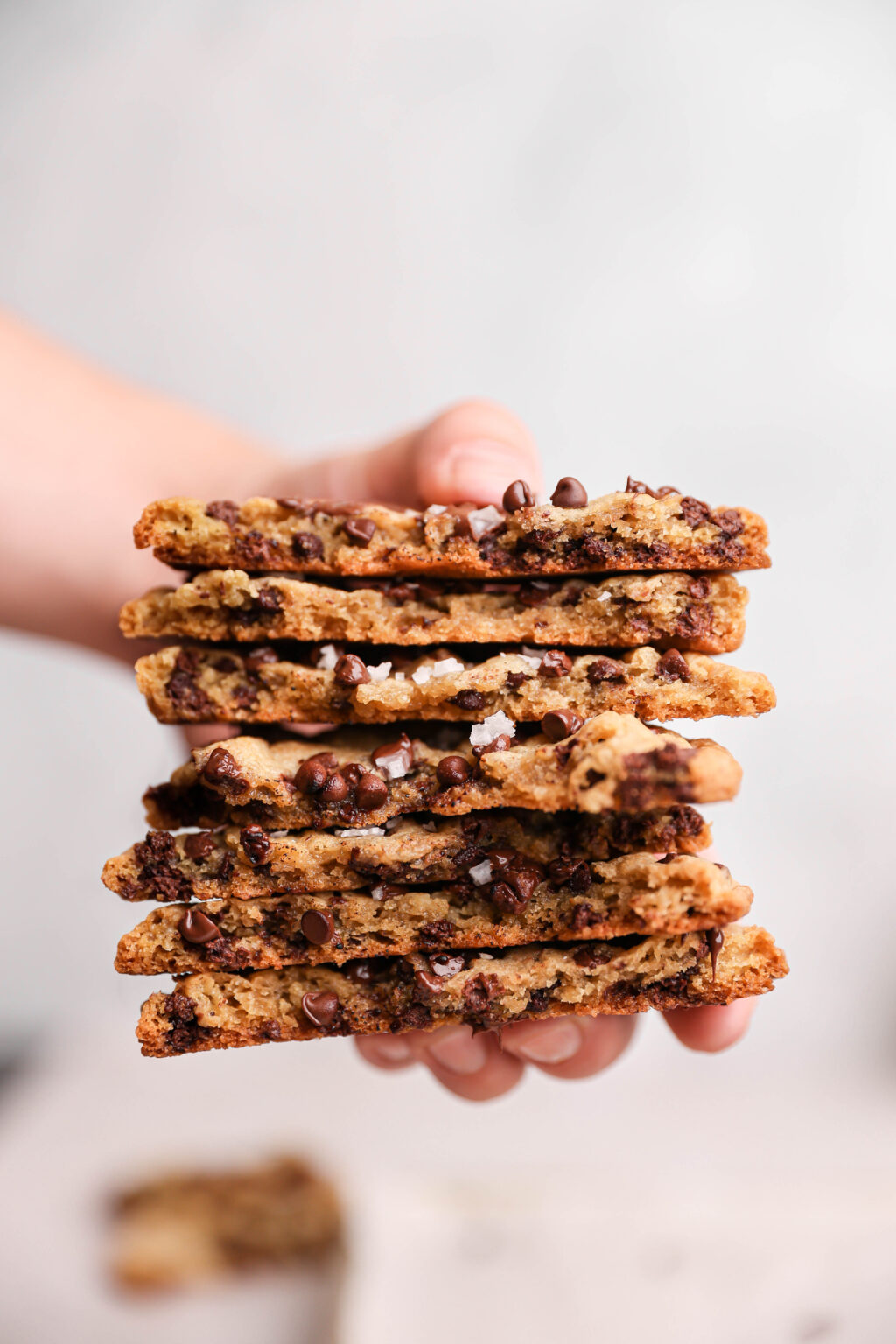 Chewy Chocolate Chip Cookies Sturbridge Bakery