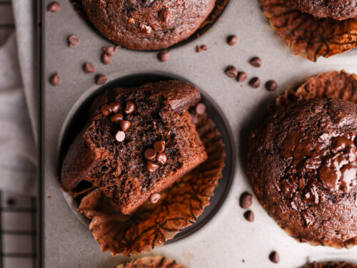 スカルパンダMoldy Muffin & Sneaky Chestnut 20210620-Raw-037-500x375.jpg